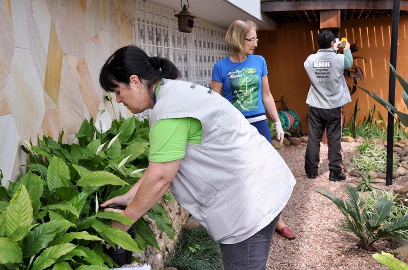 Capital j&aacute; contabiliza 82 casos da doen&ccedil;a, 23 deles no Partenon