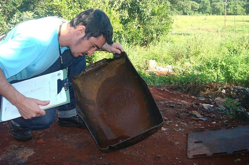 Santa Rosa volta a registrar casos de dengue