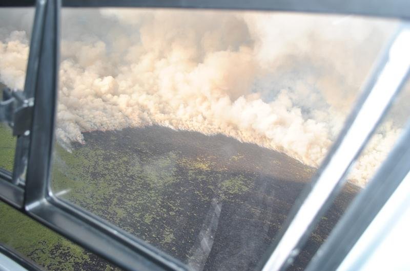 Inc&ecirc;ndio atinge reserva ecol&oacute;gica do Taim, no Sul do Estado