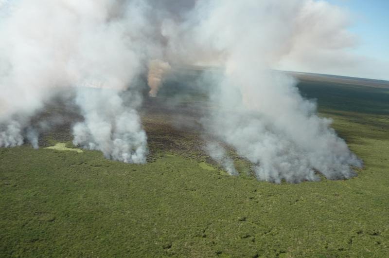 Inc&ecirc;ndio atinge 700 hectares de reserva ecol&oacute;gica