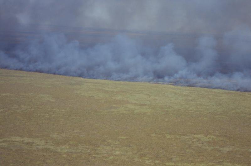 Atraso de avi&otilde;es dificulta combate a inc&ecirc;ndio no Taim