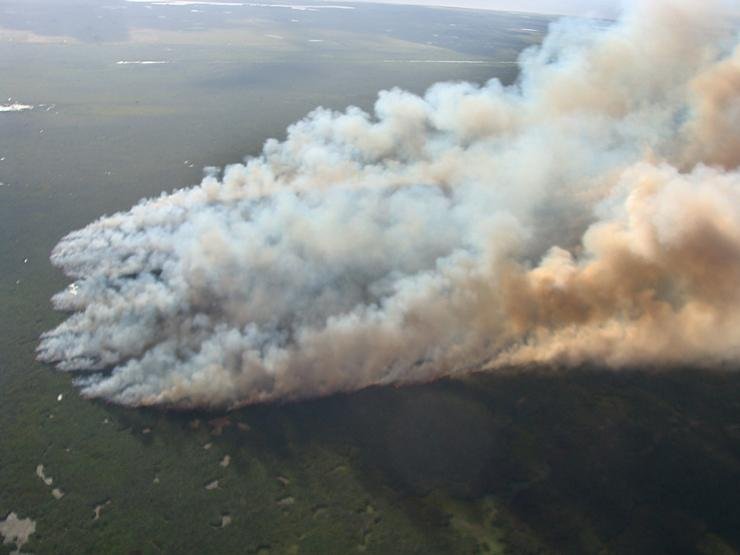 Fuma&ccedil;a cobre &aacute;rea da reserva ecol&oacute;gica atingida por inc&ecirc;ndio no Sul