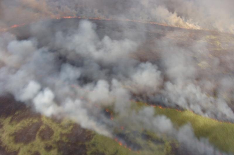 Cortina de fuma&ccedil;a cobre reserva ecol&oacute;gica desde a ter&ccedil;a-feira