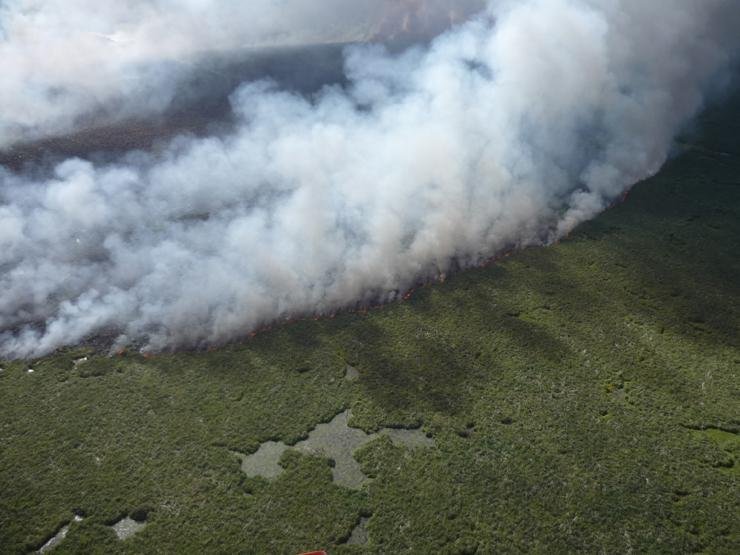 Destrui&ccedil;&atilde;o com inc&ecirc;ndio no Taim foi maior que em 2008