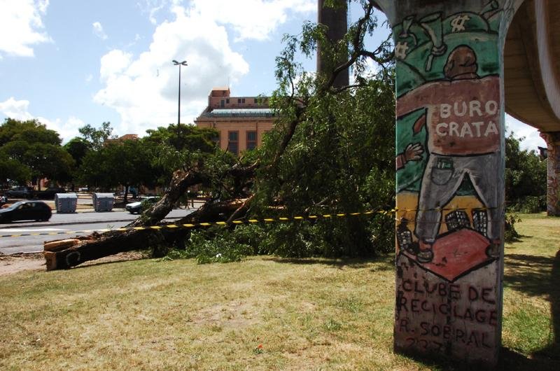 Prefeitura pagou R$ 40 mil para n&atilde;o replantar &aacute;rvores na Beira-Rio, diz MP