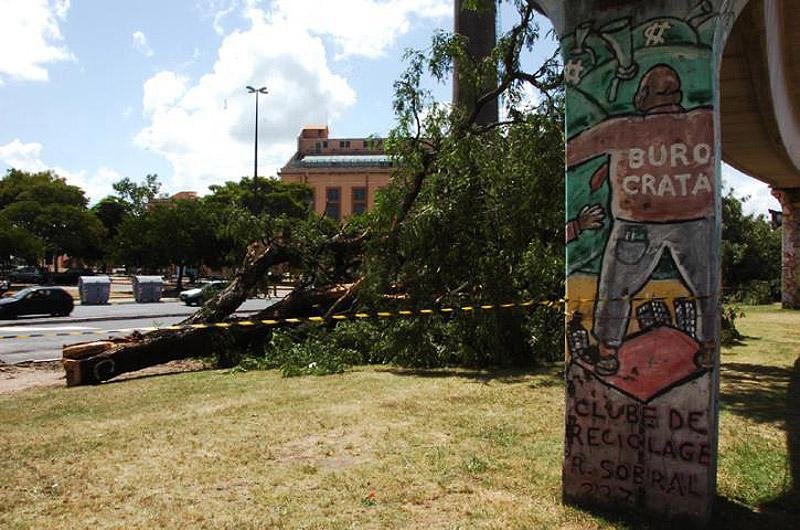 MP recorre para impedir corte de &aacute;rvores no entorno da Usina do Gas&ocirc;metro