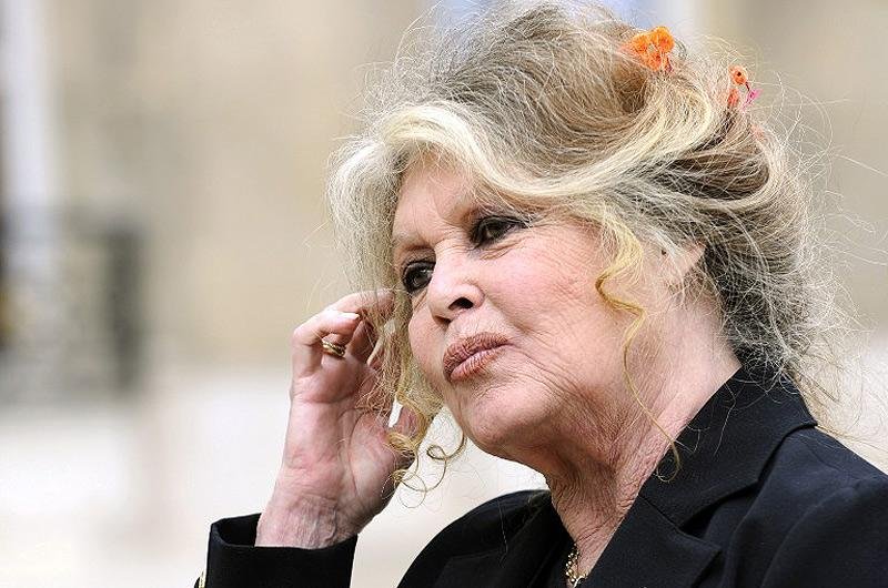 Brigitte Bardot pede que Tail&acirc;ndia acabe com tr&aacute;fico de c&atilde;es