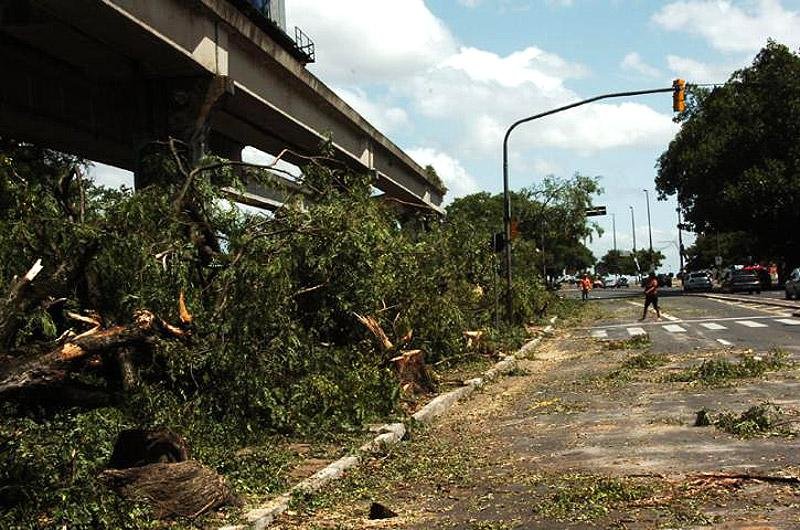 Corte de &aacute;rvores volta a ser suspenso em Porto Alegre