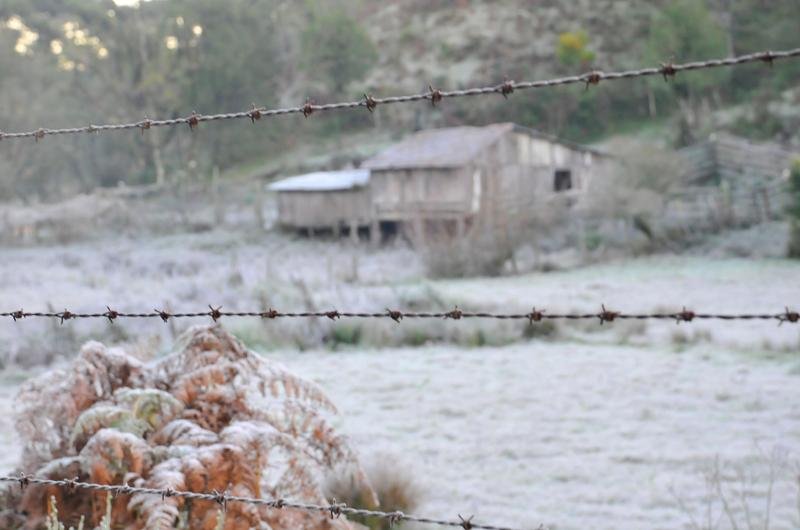 Gramado amanheceu branca com a geada