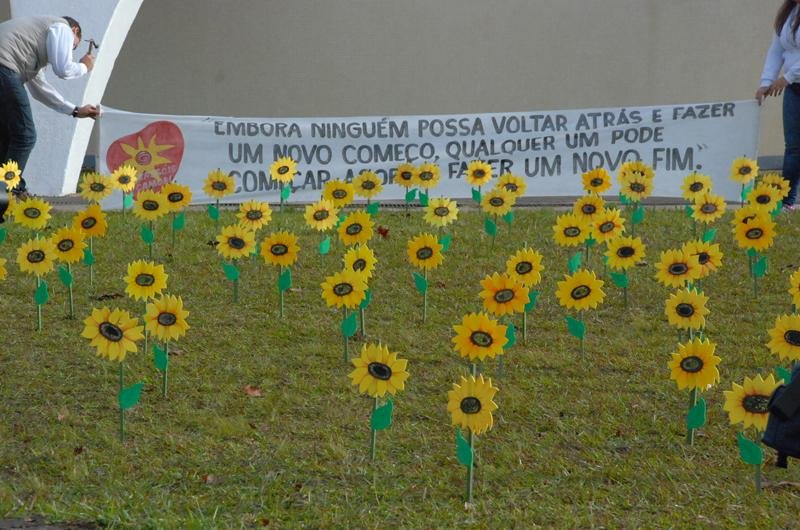 Ato coloca 242 girass&oacute;is em homenagem &agrave;s v&iacute;timas de trag&eacute;dia de Santa Maria 