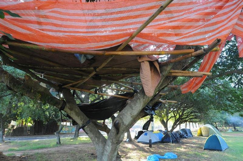 Manifestantes est&atilde;o acampados no Parque da Harmonia desde o in&iacute;cio da discuss&atilde;o sobre o corte das &aacute;rvores 