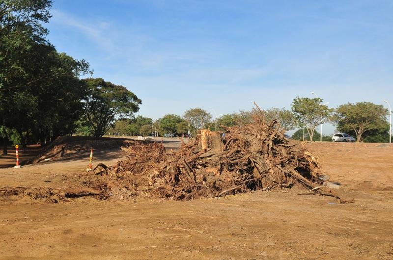 Ap&oacute;s o corte de &aacute;rvores, obras ser&atilde;o retomadas na segunda-feira