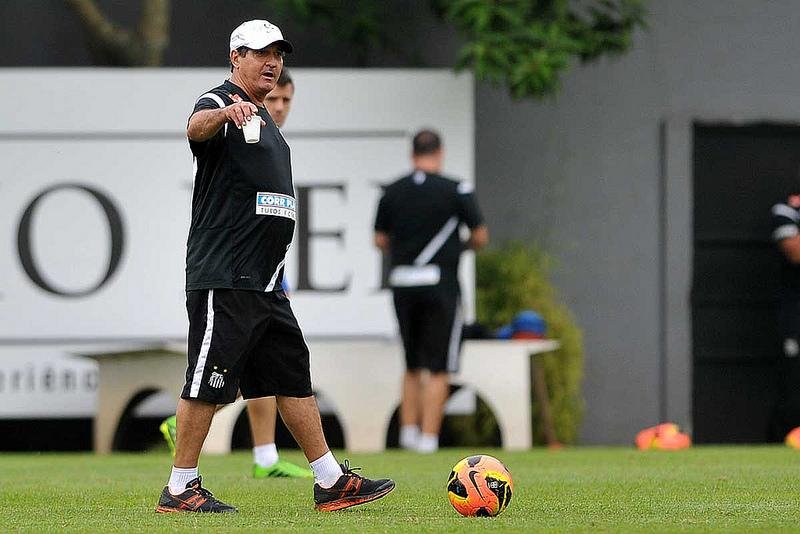 T&eacute;cnico foi demitido ap&oacute;s derrota para o Botafogo
