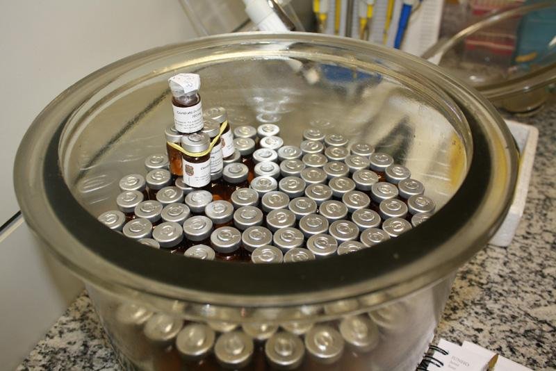 primeiros testes para a produ&ccedil;&atilde;o de SQR foram em 2008