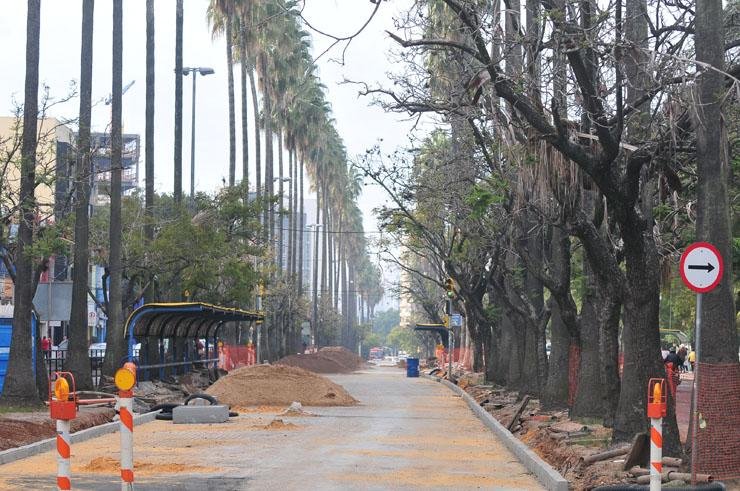 Galhos secos dos vegetais da avenida Osvaldo Aranha tamb&eacute;m preocupam