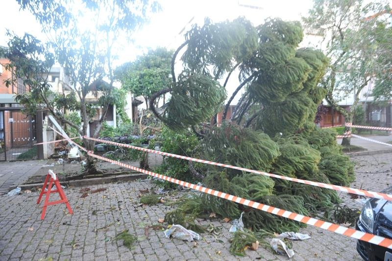 &Aacute;rvore caiu no bairro Menino Deus, em Porto Alegre