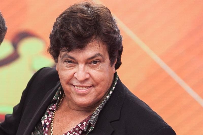 &Iacute;cone brega, Magal empresta voz a vil&atilde;o de &acute;Meu Malvado Favorito 2`