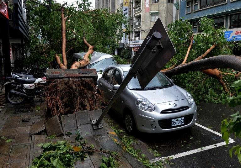 Placas e &aacute;rvores foram arrancados do ch&atilde;o com a for&ccedil;a dos ventos