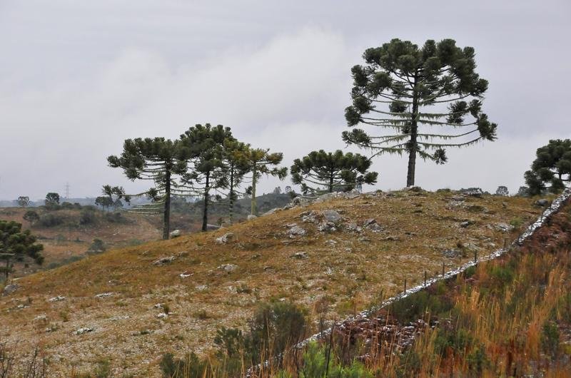S&atilde;o Joaquim ainda registrou neve com trovoadas e raios