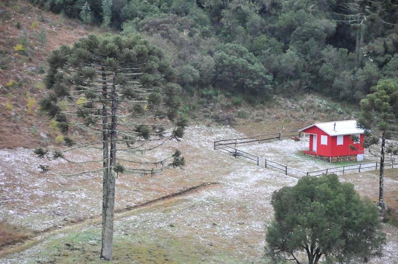 Em S&atilde;o Joaquim, campos ficaram cobertos de branco