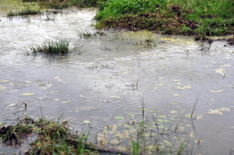 A&ccedil;udes e riachos amanheceram cobertos por gelo em S&atilde;o Jos&eacute; dos Ausentes