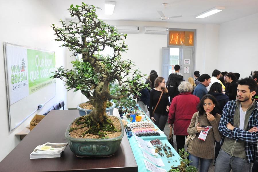 Festival do Jap&atilde;o em Porto Alegre atrai milhares