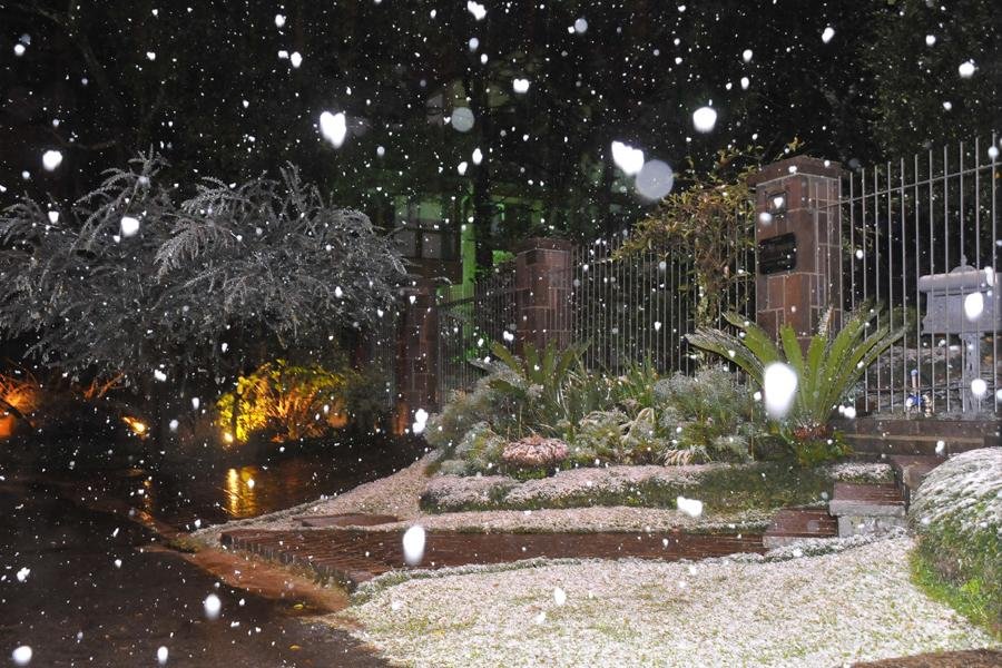 Gramado registra ac&uacute;mulo de neve na vegeta&ccedil;&atilde;o