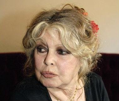 Desde que se aposentou, Brigitte Bardot se dedica &agrave; defesa dos animais