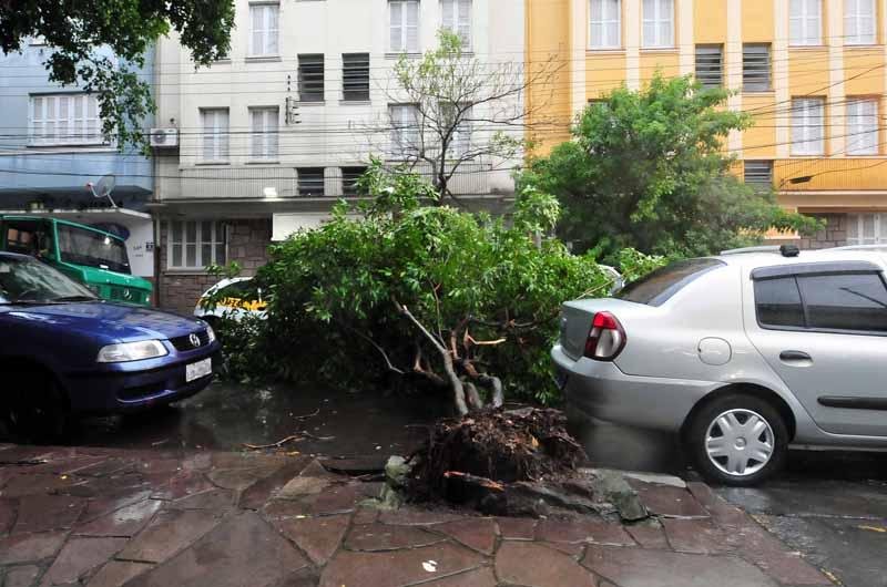 &Aacute;rvore desabou devido aos fortes ventos em Porto Alegre