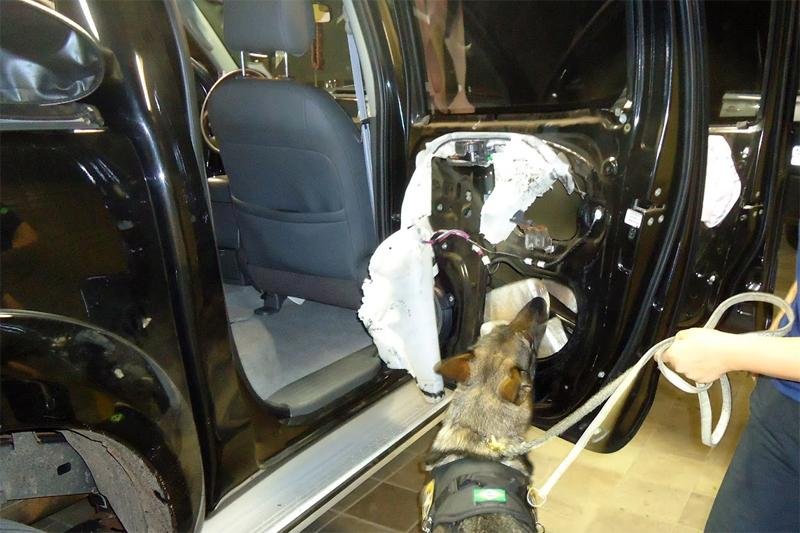 C&atilde;o farejador acusou presen&ccedil;a de 33 quilos de coca&iacute;na sob forro da porta de picape