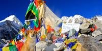 Cachorro resgatado se torna primeiro animal doméstico no Everest