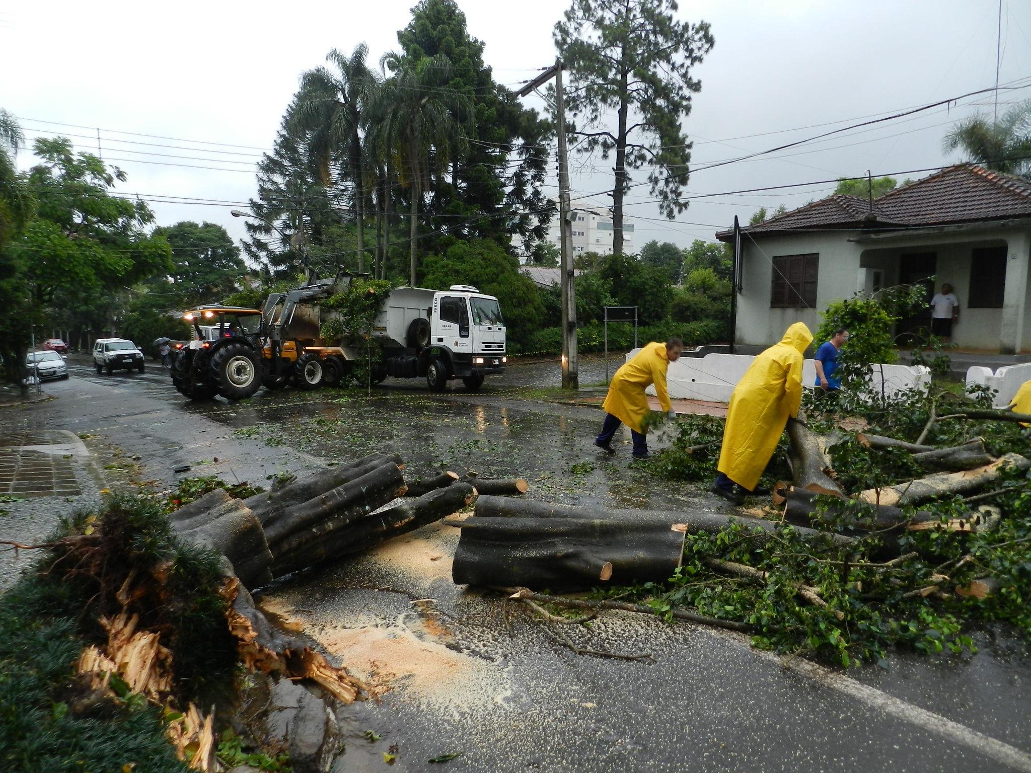 Cerca de 50 &aacute;rvores ca&iacute;ram em Lajeado