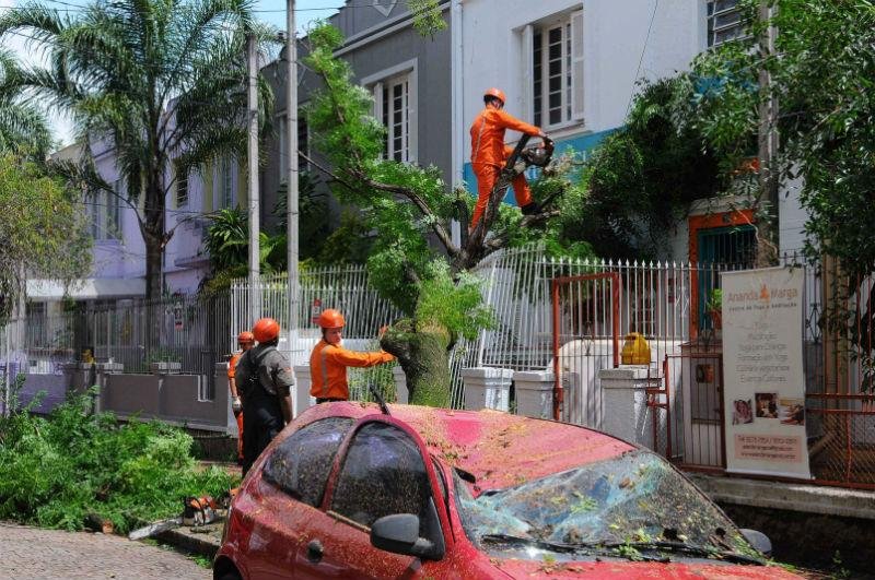 &Aacute;rvore cai sobre dois carros na Cidade Baixa