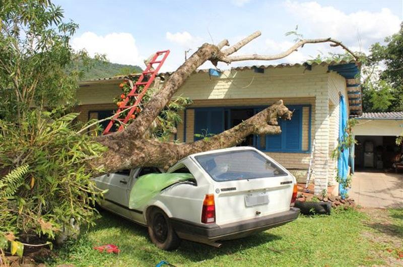 &Aacute;rvore destr&oacute;i carro ap&oacute;s queda, em Mu&ccedil;um