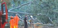 Árvore caiu no parque e vítima era titular da Vara do Trabalho de Porto Alegre