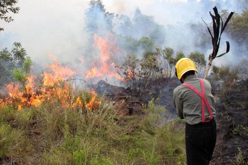 Forte calor tamb&eacute;m provocou um inc&ecirc;ndio num campo da cidade