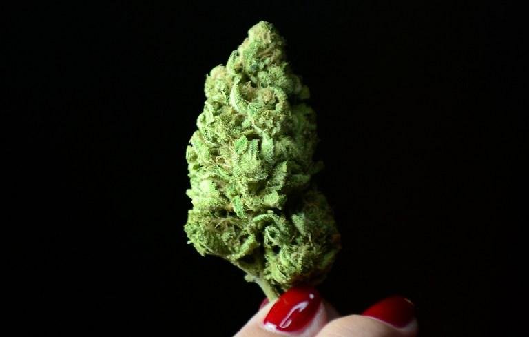 EUA ter&aacute; primeiros coffee shops para consumir maconha