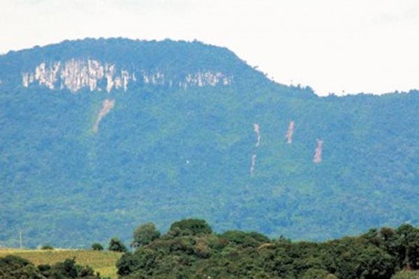 Grupo tenta conservar vegeta&ccedil;&atilde;o e caracter&iacute;sticas do morro isolado mais alto do RS