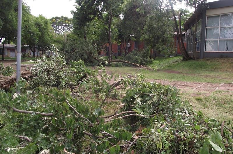 Temporal provocou estragos em Alegrete