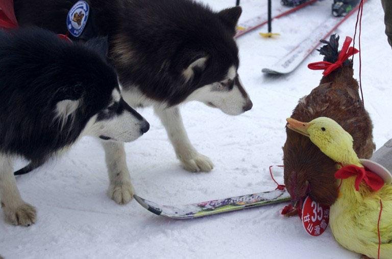 Corrida foi disputada debaixo de muita neve