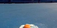 Calor chegou a fritar ovo em quadra do Aberto da Austrália