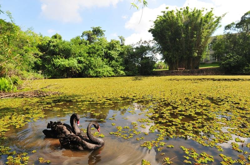 Parque com 39 hectares oferece visitas e trilhas guiadas at&eacute; o final de fevereiro