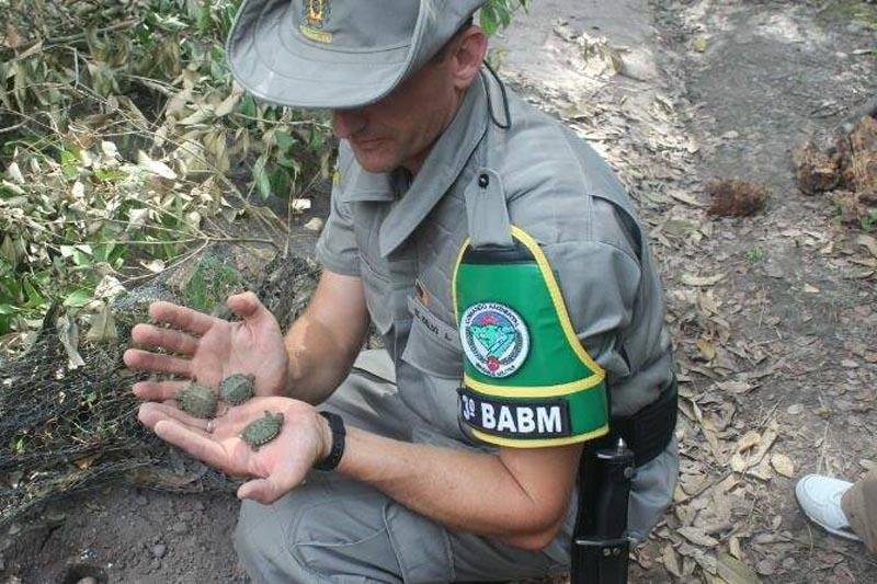Opera&ccedil;&atilde;o Quel&ocirc;nio tem mais de 50 policiais que v&atilde;o reintegrar animais &agrave; natureza