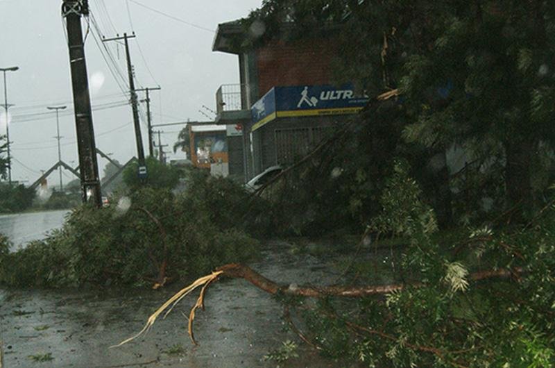 Alagamentos e quedas de &aacute;rvores tamb&eacute;m geraram transtornos