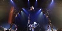 Circo canadense mostra seu espetáculo em palco de 360°C 