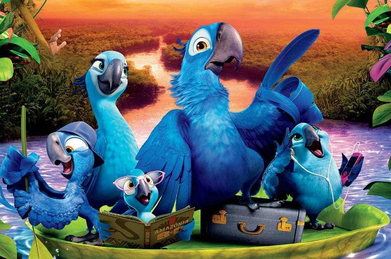 Filme narra hist&oacute;ria de araras-azuis que saem do Rio para a Amaz&ocirc;nia 