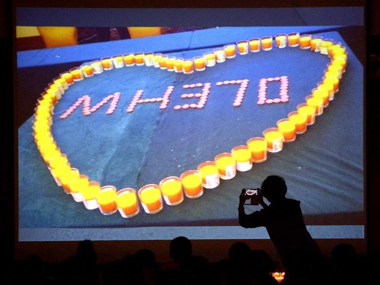 Boeing da Malaysia Airlines caiu no Oceano &Iacute;ndico