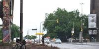 Prefeitura corta oito árvores para duplicar avenida Beira-Rio 