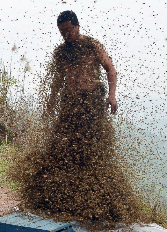 Por cerca de 40 minutos o homem ficou comerto de  abelhas