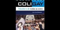 Autor de livro sobre torcida do Grêmio destaca papel de grupo que defendeu espaço dos homossexuais